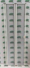 Remis Shower door