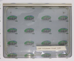 1999 Explorer group window; 775x605mm