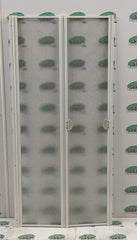 Remis Shower door