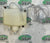 Alde Expansion Tank