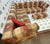 Upholstery; 2 berth