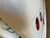 Swift Rear Panel