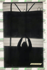 2008 Seitz window; 570x945mm